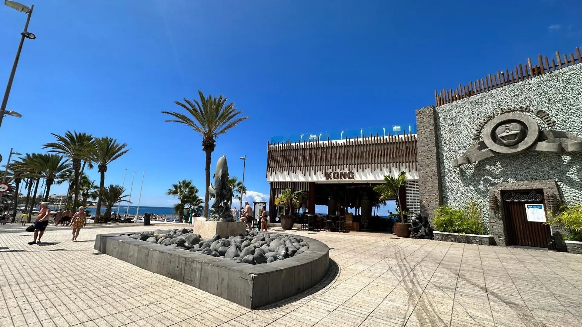 Appartement Torres De Yomely - Y14A à Arona   Arona (Tenerife)